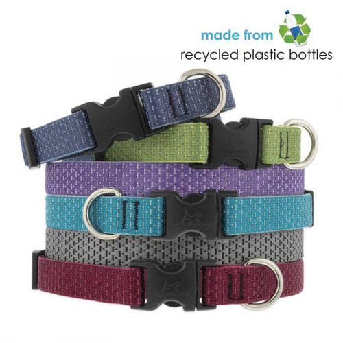 Eco Collares para Perros reciclado - Dogs N Roll