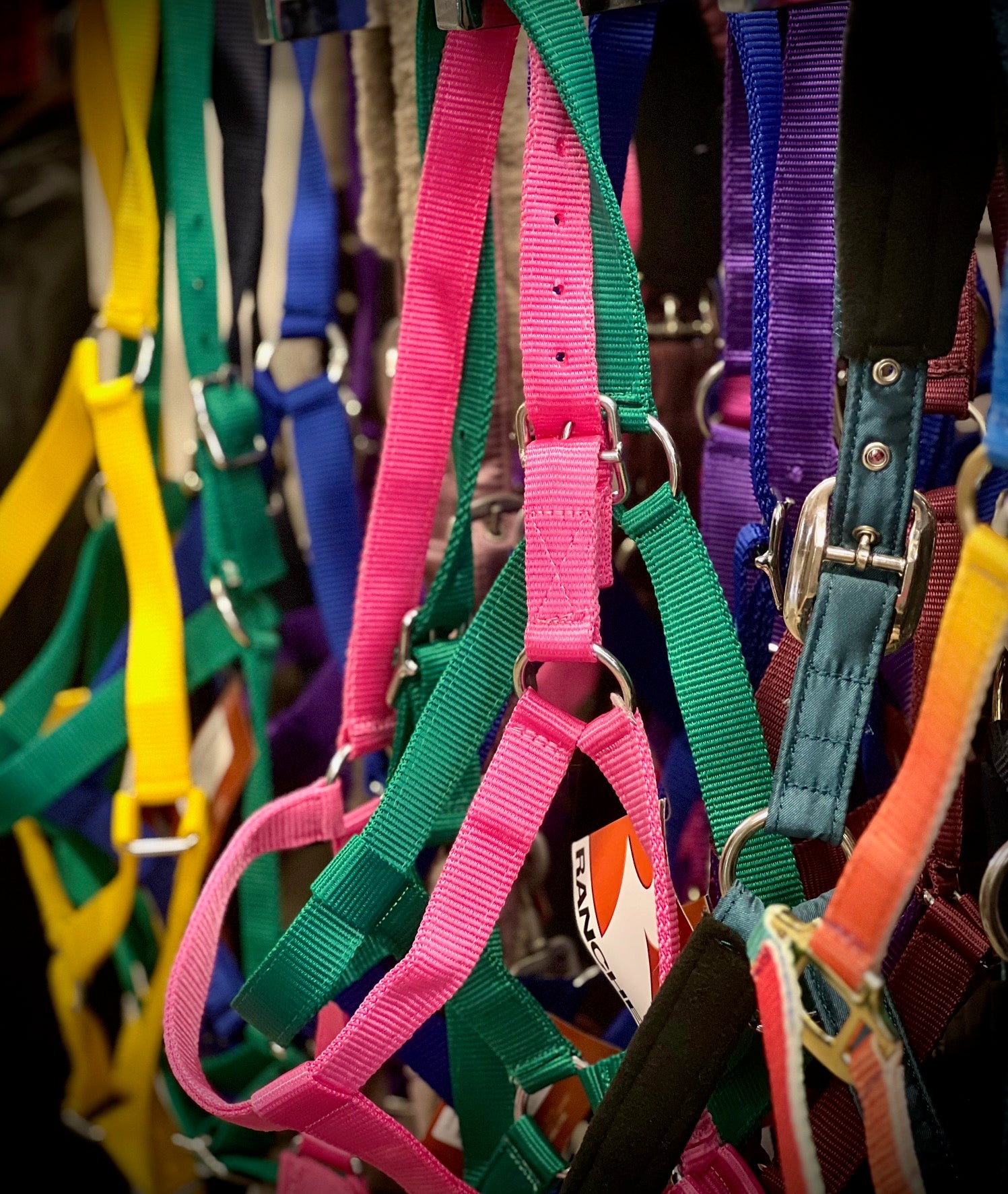 Picture of Ranch Stable Halter
