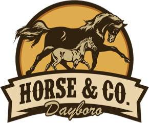 Horse & Co. Dayboro – Horse and Co Dayboro