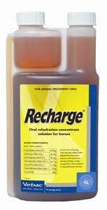 Picture of Virbac Recharge Horse 1L