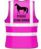 Picture of Hi Vis Rider Safety Vest