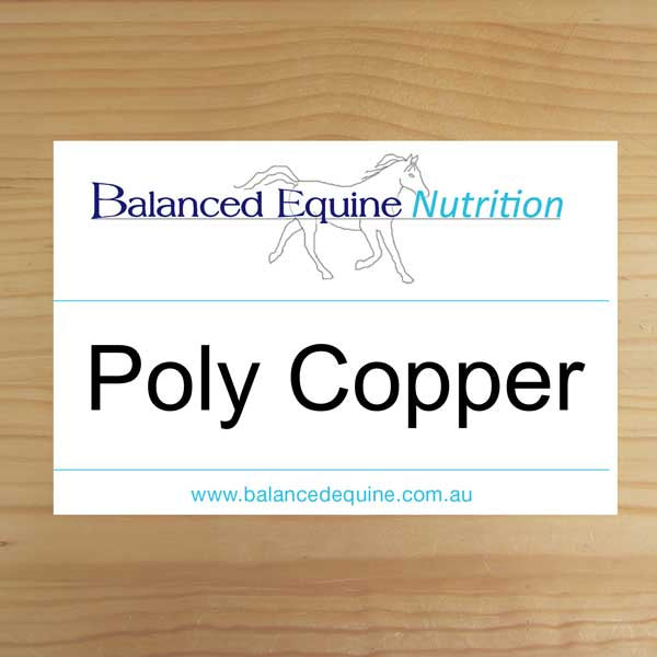 Picture of Balanced Equine Poly Copper