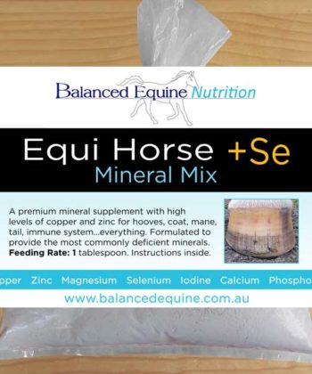 Picture of Balanced Equine Equi Horse +SE mix