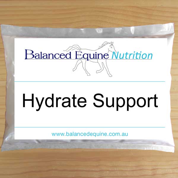 Picture of Balanced Equine Hydrate Support