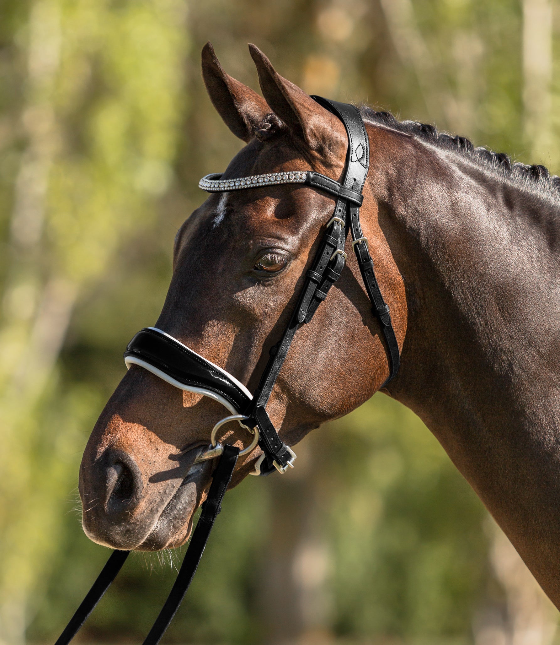 Picture of Lumiere "Adeline" Bridle