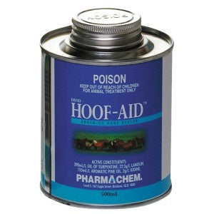Picture of David Hoof Aid