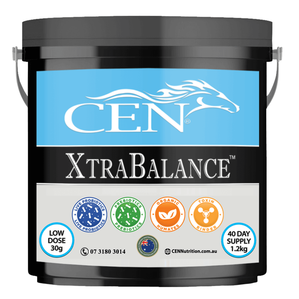 Picture of CEN Xtra Balance