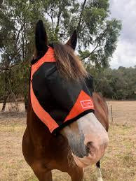 Picture of Fly Buster Standard Design Fly Mask!