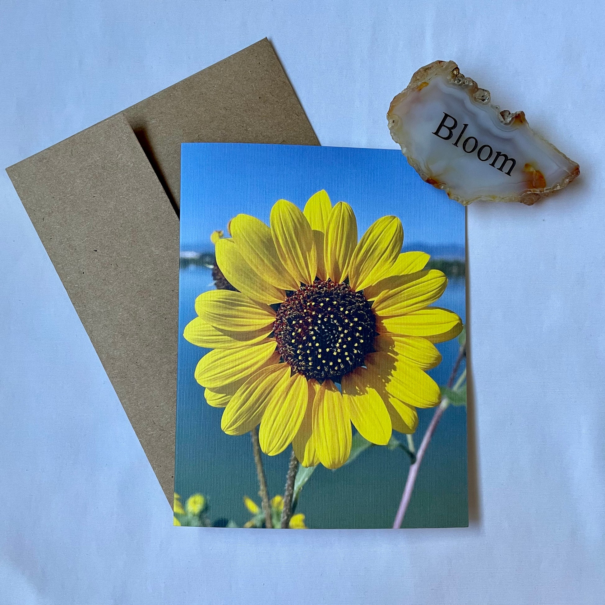 Sunflowers Set of 6 Greeting Cards With Kraft Envelopes – Maddie Green ...