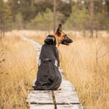 Koiran Verkkotakki, Musta - Back on Track Finland
