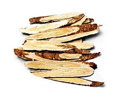 Astragalus