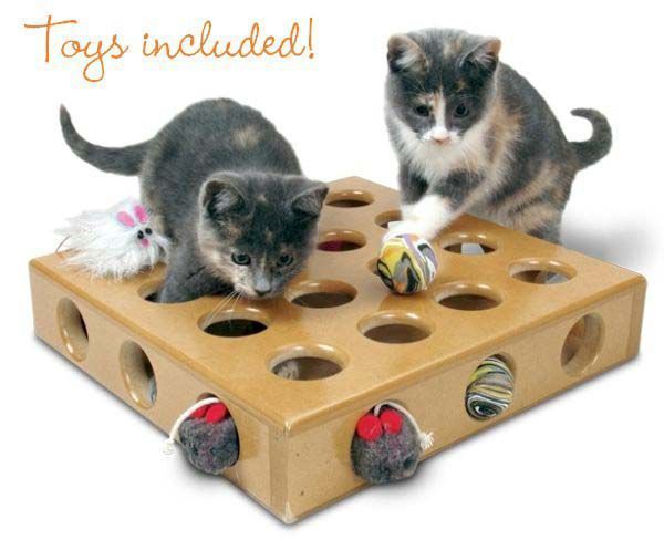 smart cat toys