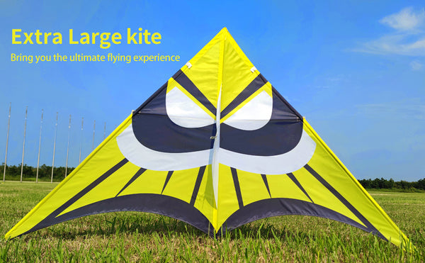 Giant Kite for Adults, Huge Beach Kite, Large Delta Kite-Kaiciuss