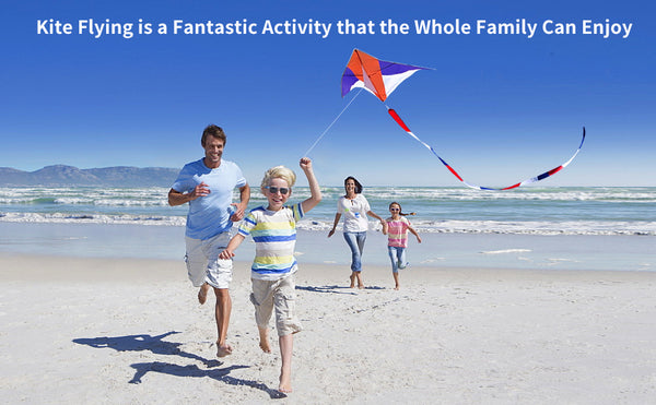 Simxkai Large Delta Kites for Adults & Kids, Easy to Fly & Assemble – Mint's  Colorful Life
