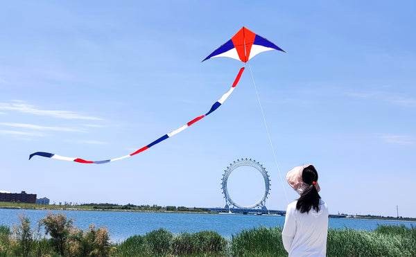  Simxkai Large Delta Kite for Kids & Adults, Best Beach Kite for  Beginners, Simxkai Kite String Reel, Kite String Spool,Kite Line Winder  8inches Dia, Come with Lock & 1000 Feet Line(Green) 