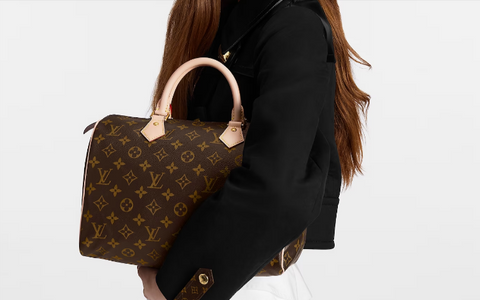 Louis Vuitton Speedy Limited Edition Shoulder Bag in Damier Weave with  Leather