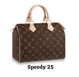 Suedette Singular Style Leather Handbag Organizer for Louis Vuitton Speedy  25, Speedy 30, Speedy 35 and Speedy 40