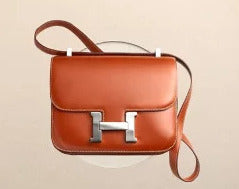 Louis Vuitton Ascot Damier Ebene Bag vs Hermes Birkin: Review & Comparison  