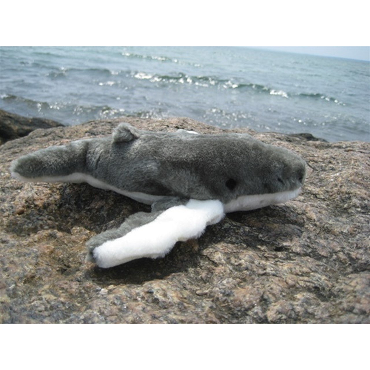 humpback whale stuffed animal