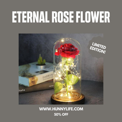 eternal rose | glass roses at hunnylife.com | 50% OFF Hurry Up