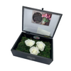 Eternal Roses (Glass Box - Medium)