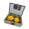 Eternal Roses (Glass Box - Large)