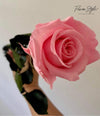 Long Stemmed Pink Eternal Rose