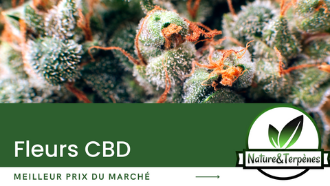 CBD bordeaux france le meilleur prix du CBD, Fleurs indoor CBD