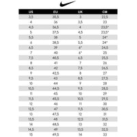 Nike SB Zoom Blazer Low GT Q. – Welcome 