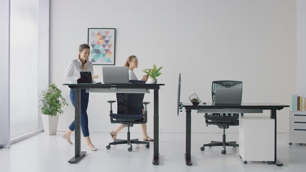 The healthy Living store - Motorised standing desk