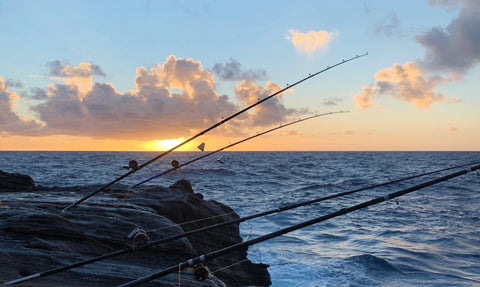 Exploring the Thrill of Hawaiian Ulua Fishing: A Tradition Rooted