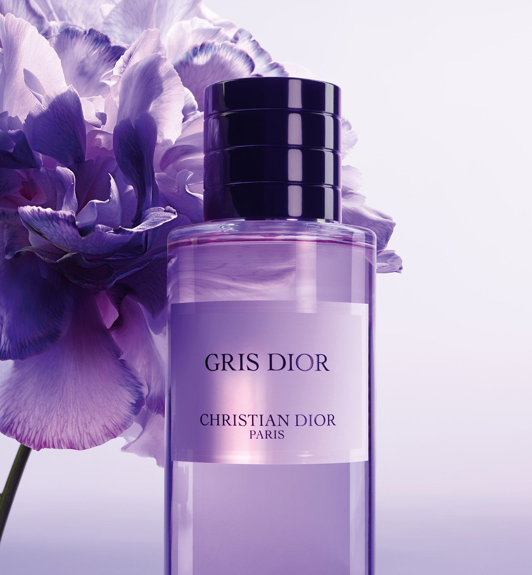 Christian Dior Gris Montaigne  Nuochoarosacom  Nước hoa cao cấp chính  hãng giá tốt mẫu mới