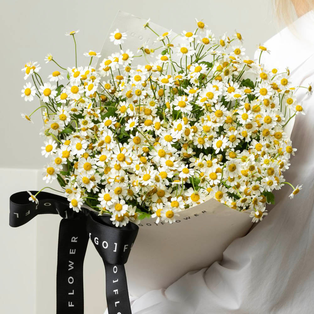 Chamomile - GO FLOWER product image