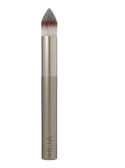 Foundation Brush 1