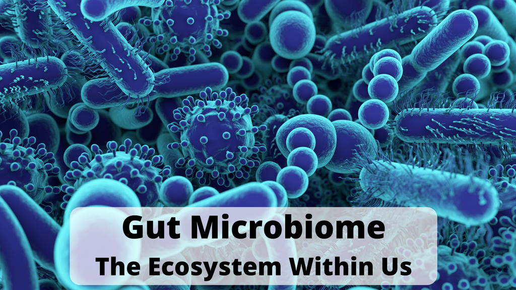 Gut microbiome