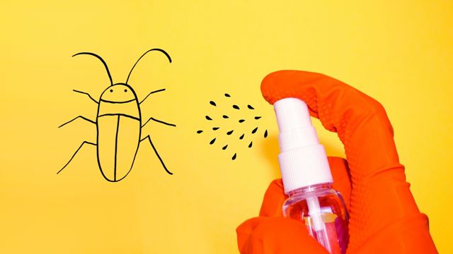10Effective DIY Insect Repellents for Home and Garden