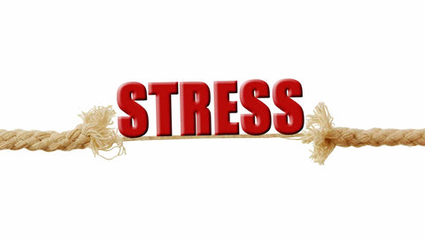 How does stress affect your health