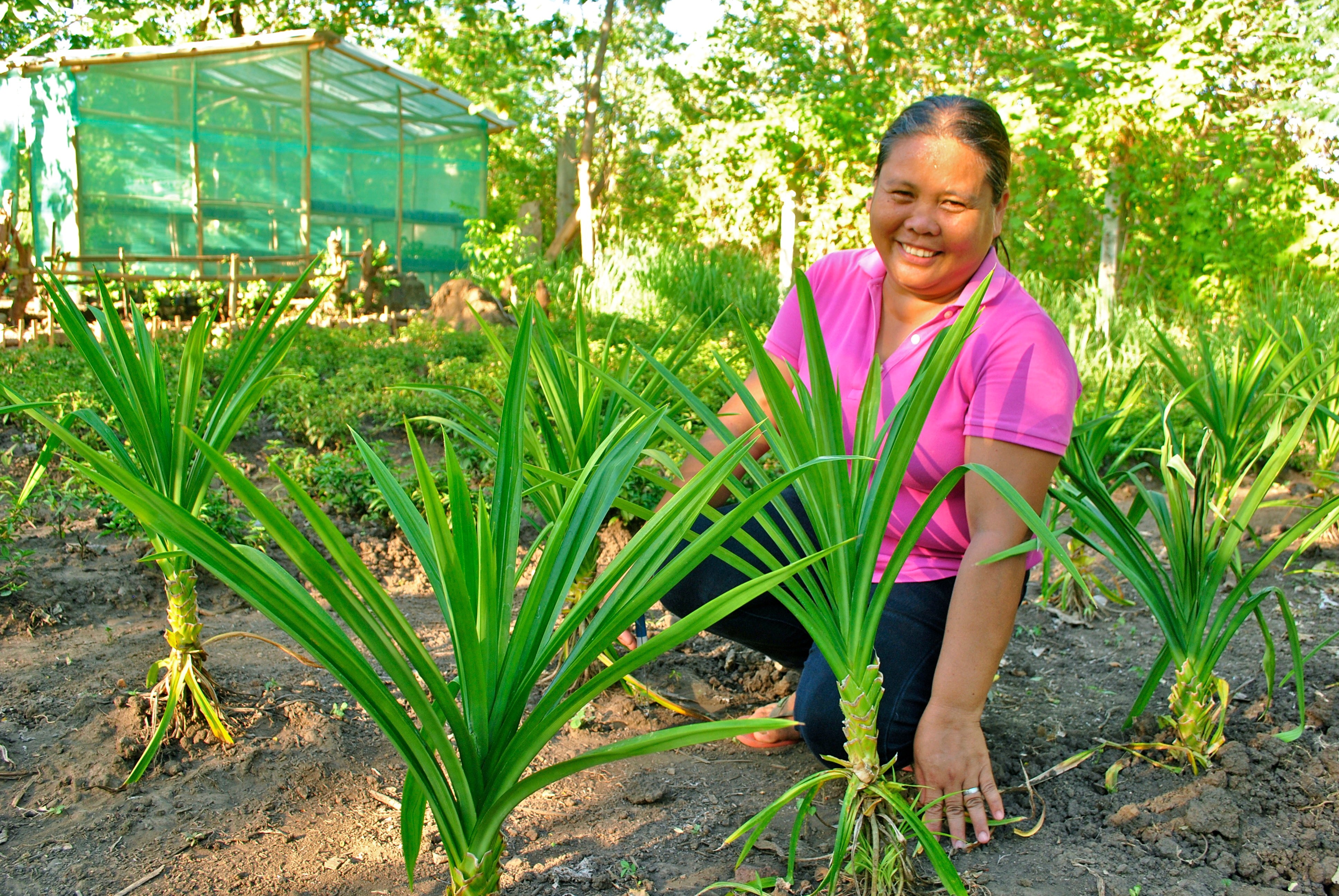 Tsaa Laya Community Farmers