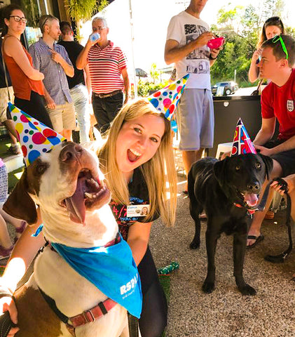 dogs with party hats