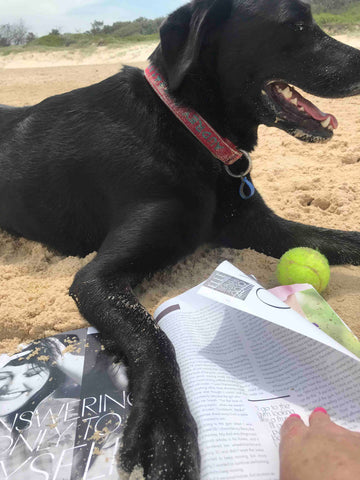 Black Lab beach