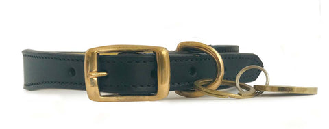 front view dog collar