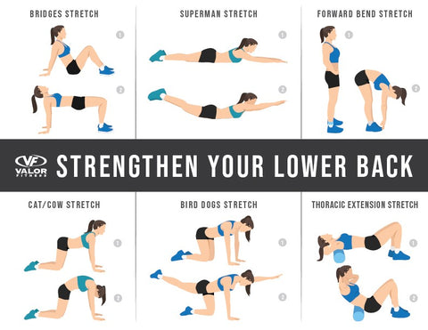 Lower Back - Stretching, Exercises, & Posture