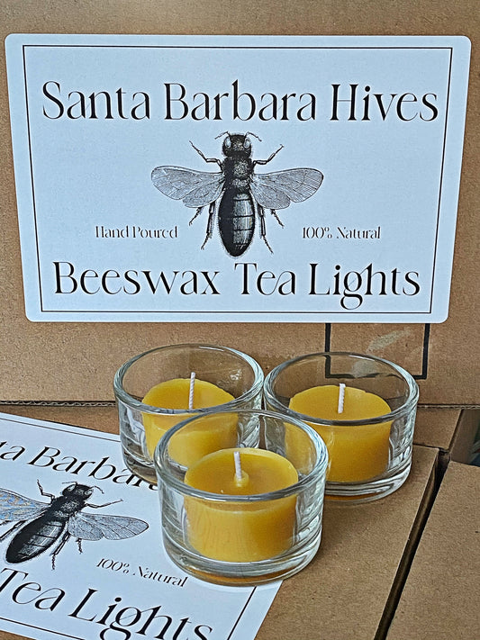 Beeswax Tea Lights Candles Bulk Refills (30) 