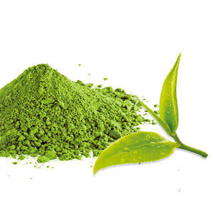 elevate ingredient green tea extract