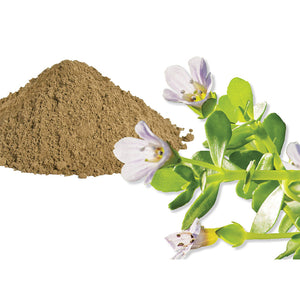 elevate ingredient bacopa maonnieri