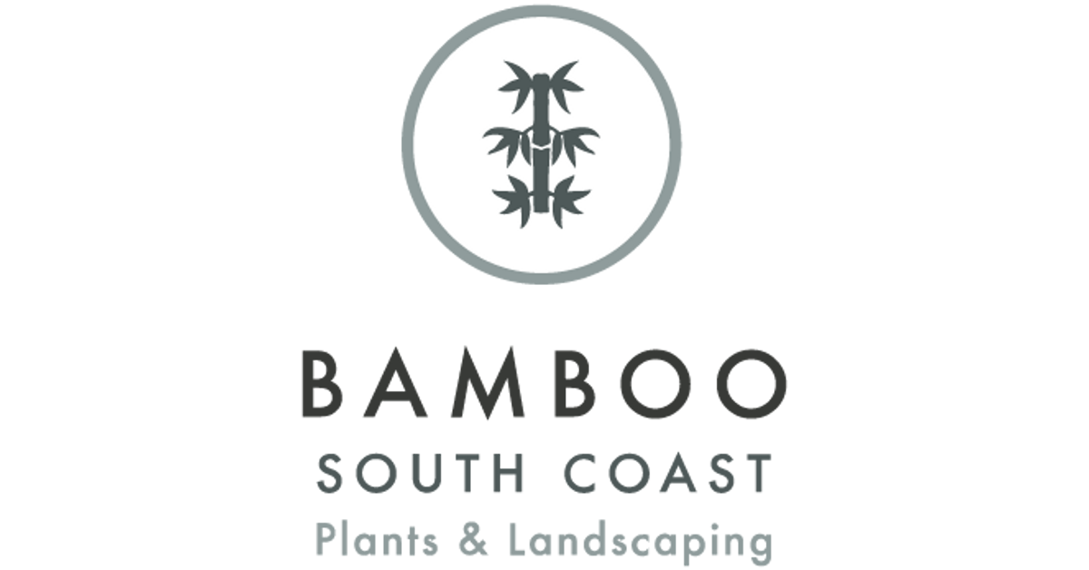 Bamboo South Coast