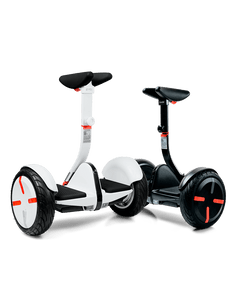 Segway Minipro 320 2024 www.fruit n ice