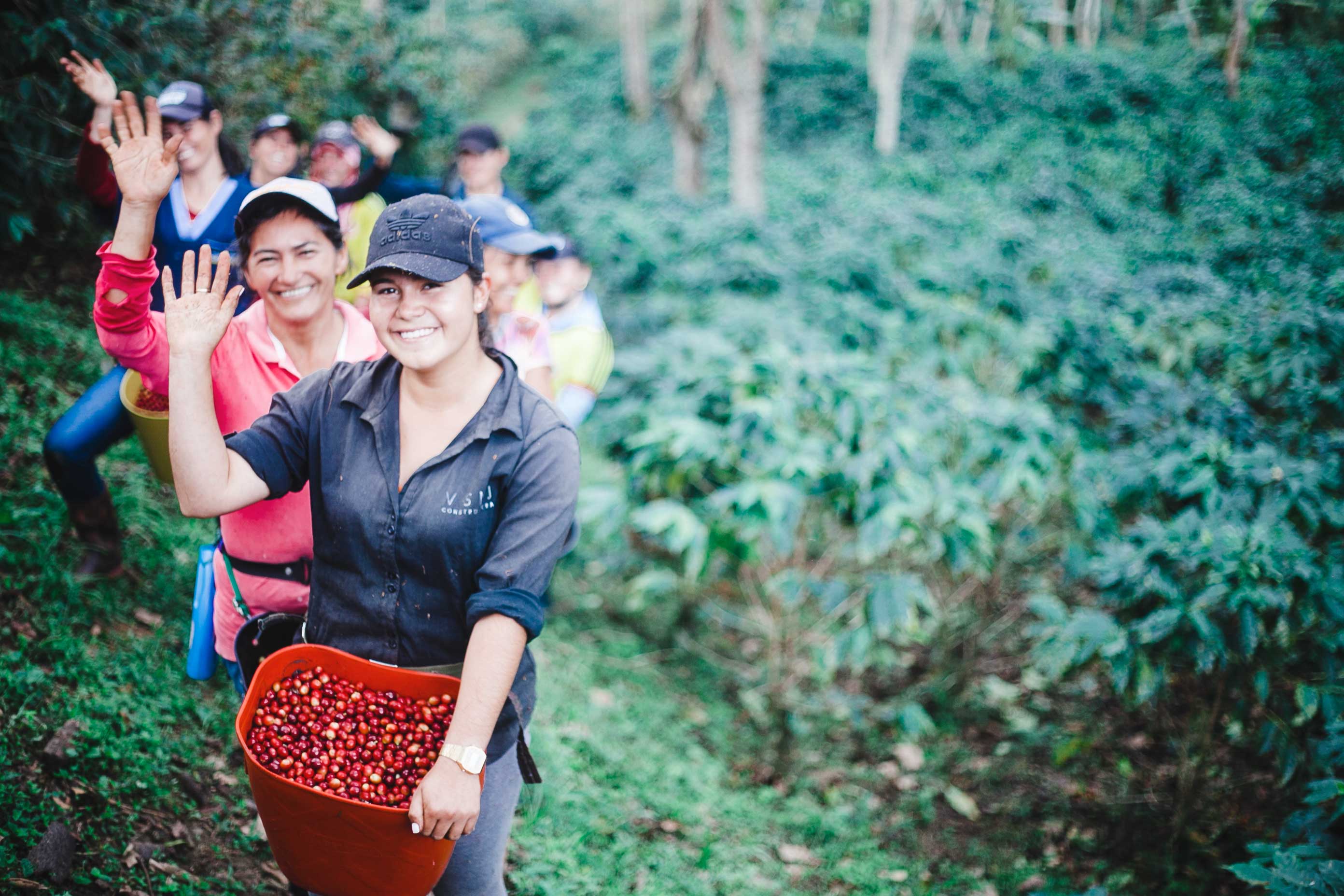 women farmers on coffee farm in columbia