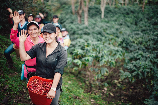 Women of Finca Santa Maria