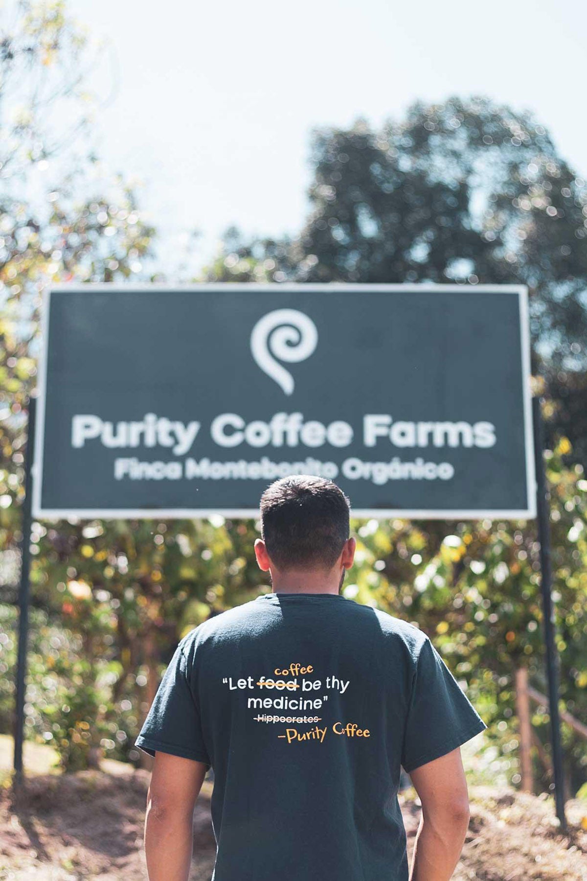 Purity Coffee Farms Montebonito farm worker